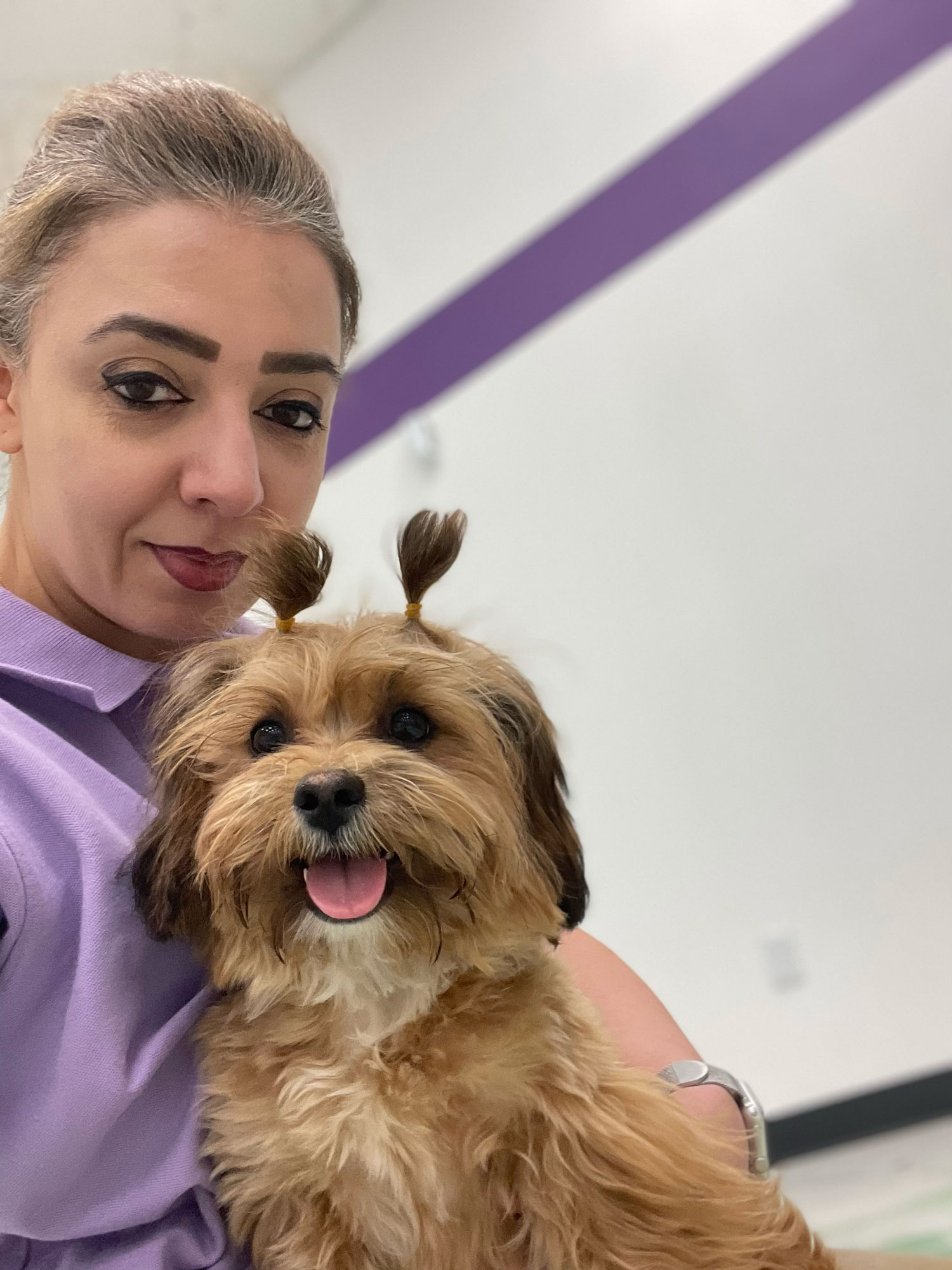 Pet Image