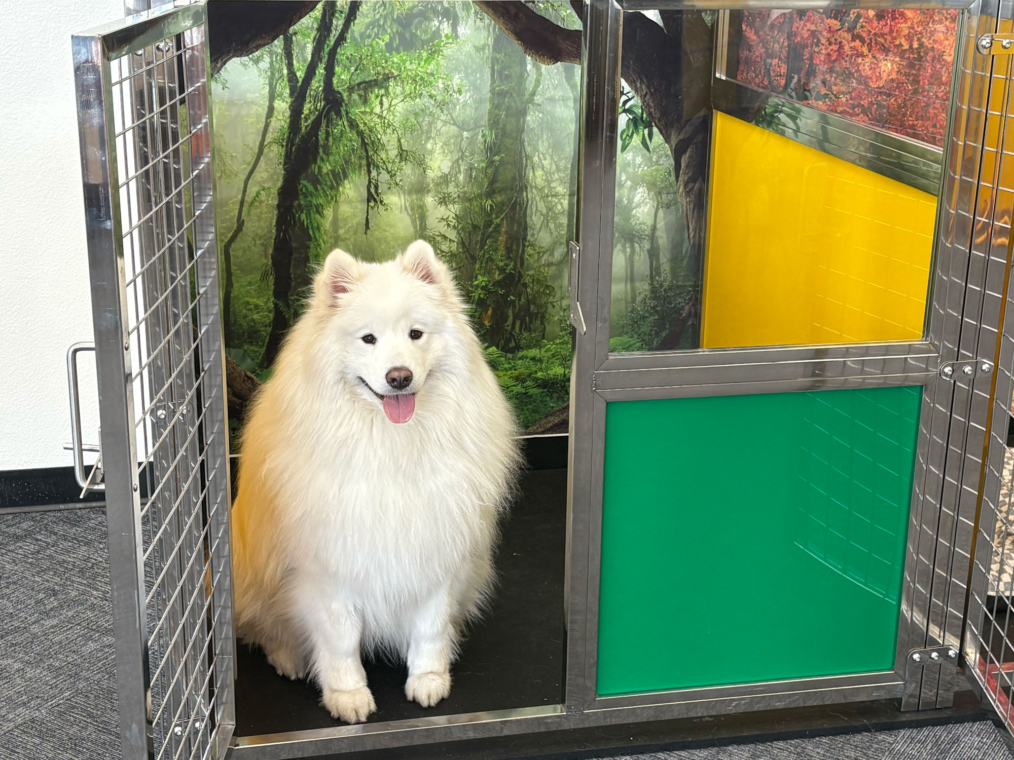 Pet Image