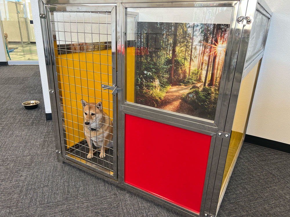 Pet Image