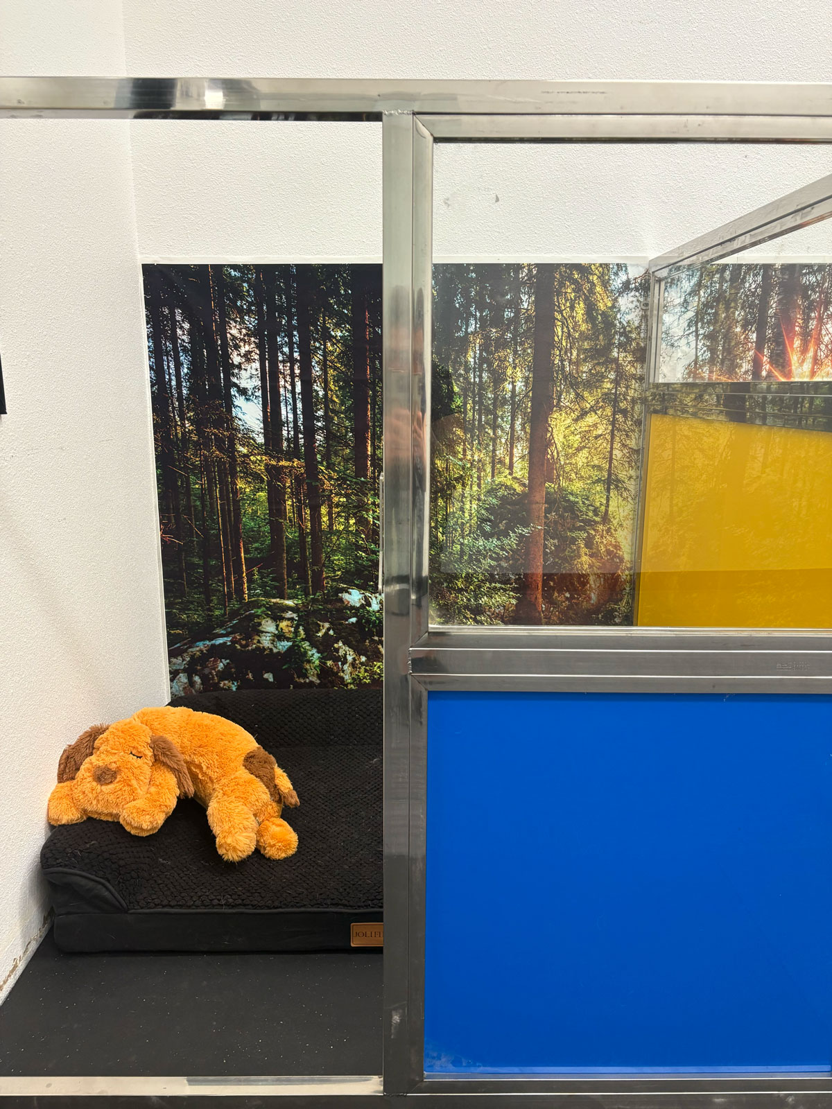 Pet Image