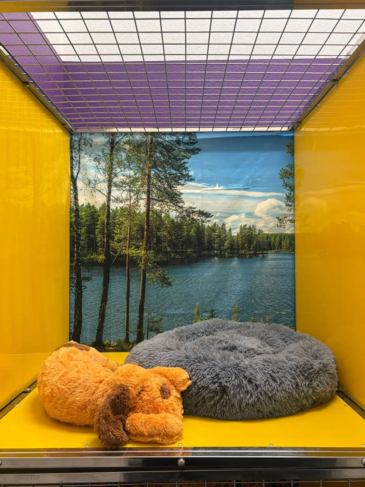 The Snuggle Den boarding suite for small dogs