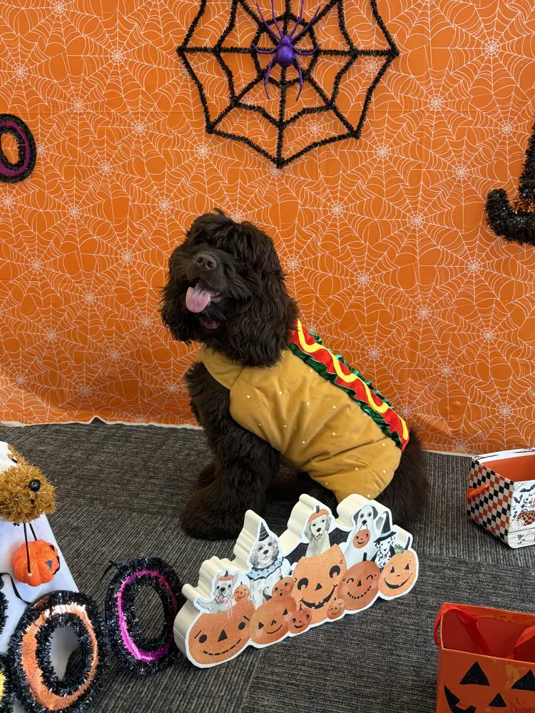 Ruth in a taco costume